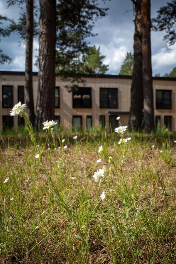 Ferienwohnung 11 Pine View Ķesterciems Exterior foto